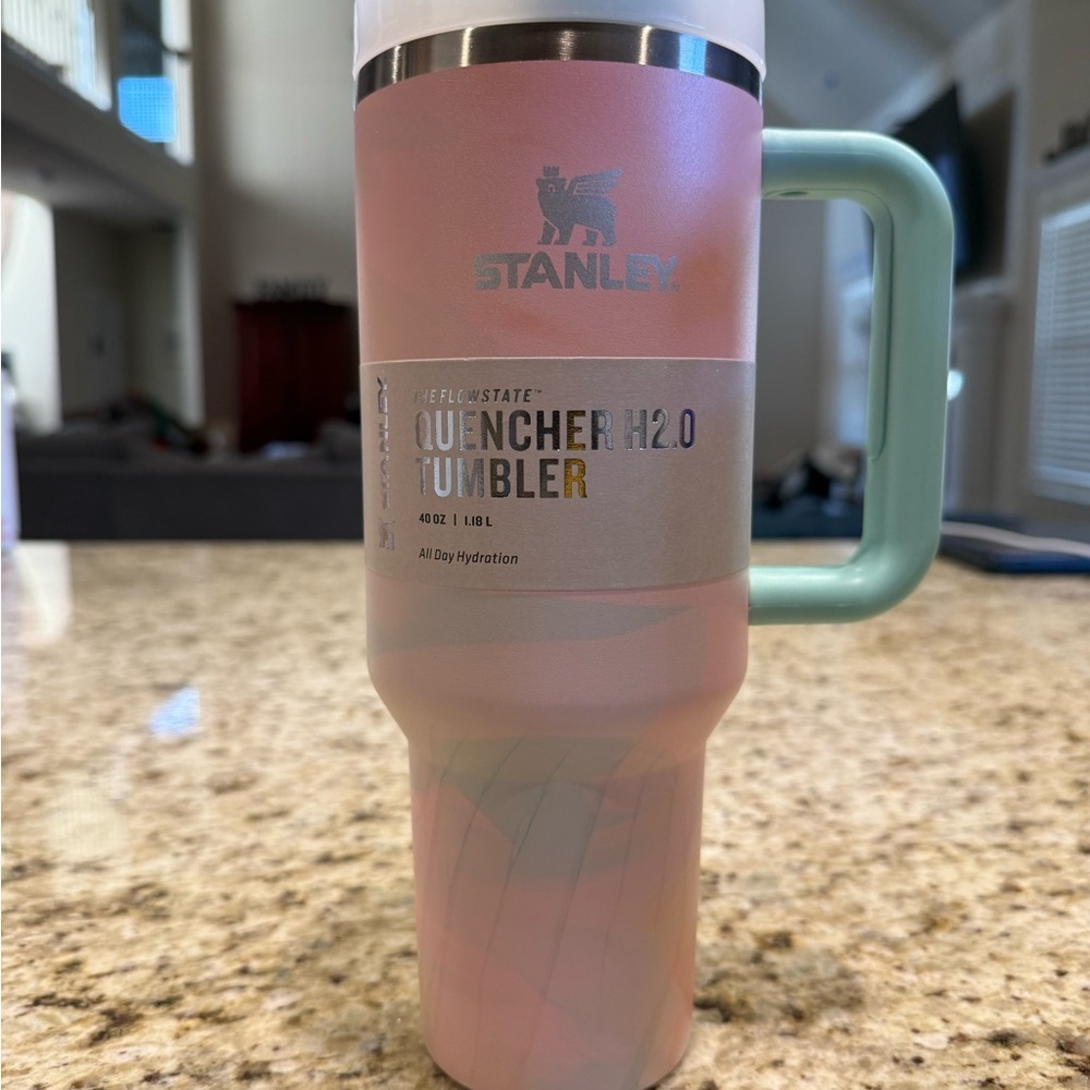 Stanley Quencher H2.0 Tumbler in Pink with Mint Handle